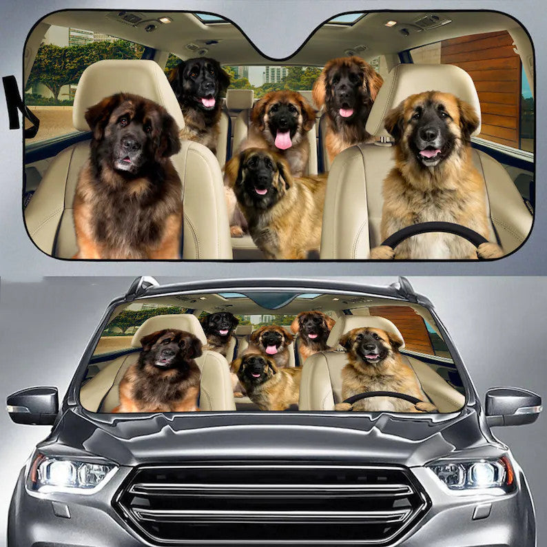 Window Sun Shade Car - Car Sunshade Shield