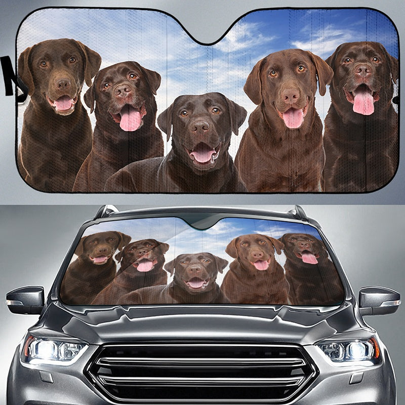 Window Sun Shade Car - Car Sunshade Shield