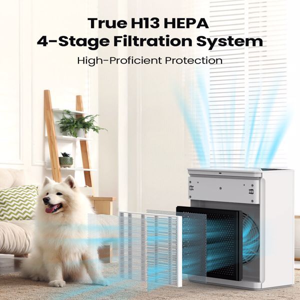 Air Purifier for Home Pets with Night Light, sleep Mode, Air purifiers for Home up to 1736 square feet